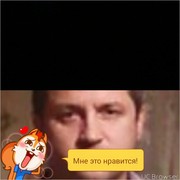  ,  , 53