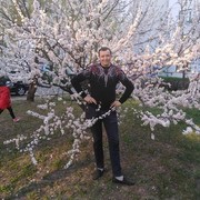  ,   , 39 ,  
