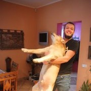 ���������� �����, ���� ������� ������, 35 ���, ������������ ��� ������, ����� � ���������, c�������� ���������, ���������