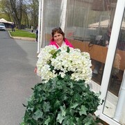  -,   , 54 ,     , c 