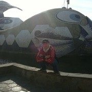  ,   , 43 ,   