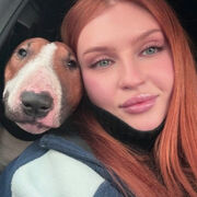 ���������� ���������, �������