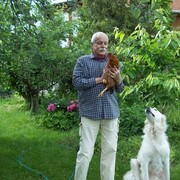  ,   , 74 ,   ,   