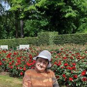  Sulingen,  , 63