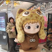 ���������� �����������, ���� ������� �����, 56 ���, ������������ ��� ������, c�������� ���������