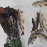   ,   , 62 ,   