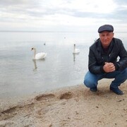  ,   , 53 ,   
