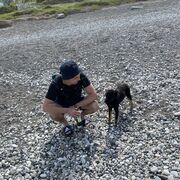 ���������� ���������, ���� ������� ����, 31 ���, ������������ ��� ������, ����� � ���������