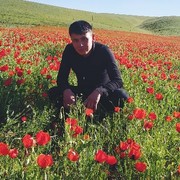 ���������� ������, ���� ������� ������, 29 ���, ������������ ��� ����� � ���������, c�������� ���������