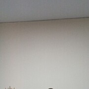 ���������� ��������, ���� ������� �������, 41 ���, ������������ ��� ������, ����� � ���������, c�������� ���������