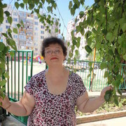  ,   , 55 ,     , c 