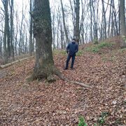 ���������� �������, ���� ������� ������, 42 ����, ������������ ��� ������, ����� � ���������, c�������� ���������