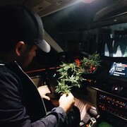  ,   Alex, 28 ,   ,   