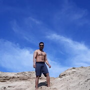   ,   , 40 ,  