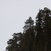  ,   , 46 ,   c 