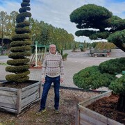  ,   , 55 ,   ,   , c 