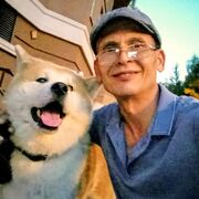 ���������� �������, ���� ������� ����� ������, 54 ����, ������������ ��� c�������� ���������