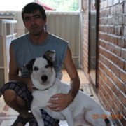  ,   , 53 ,   c , 