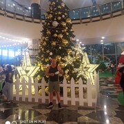 ���������� ��������, ���� ������� ��������, 58 ���, ������������ ��� c�������� ���������