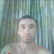  ,  sireoja, 38
