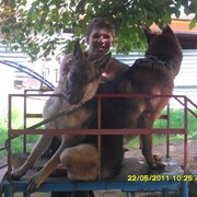 ���������� ������, ���� ������� �����, 41 ���, ������������ ��� ������, ����� � ���������, c�������� ���������