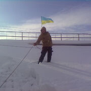  ,   FIL, 37 ,   ,   