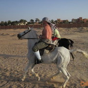 ���������� ����������, ���� ������� ���������, 60 ���, ������������ ��� ������, ����� � ���������, c�������� ���������