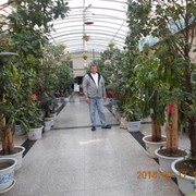  ,   , 51 ,   , 