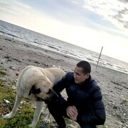  ,   , 33 ,   ,   