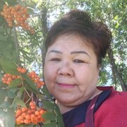  ,   , 51 ,   c 