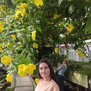  -,   , 33 ,   ,   , c 