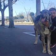 ���������� �������, ���� ������� NODARI, 35 ���, ������������ ��� ������, ����� � ���������, c�������� ���������, ���������