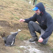 ���������� ���������, ���� ������� �����, 43 ����, ������������ ��� ������, ����� � ���������