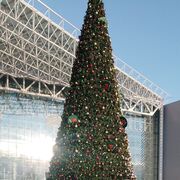 ���������� ������������, ���� ������� Akbar, 40 ���, ������������ ��� ������, ����� � ���������