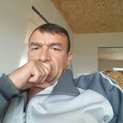  -,   , 43 ,   ,   