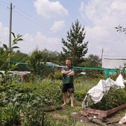 ���������� ������, ���� ������� �������, 39 ���, ������������ ��� ����� � ���������, c�������� ���������