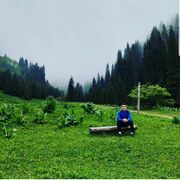 ���������� ������, ���� ������� ����, 28 ���, ������������ ��� ������, ����� � ���������