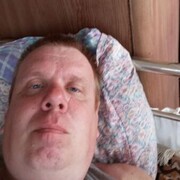  ,   Maus, 41 ,   ,   