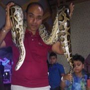  Cabaret,   Hesham, 46 ,   ,   , c 