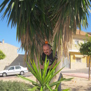  ,   Alex, 59 ,   ,   , c 