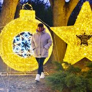 ���������� �����������, ���� ������� ��������, 39 ���, ������������ ��� ������, ����� � ���������