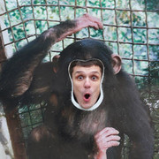 ���������� ������, ���� ������� �������, 44 ����, ������������ ��� ������, ����� � ���������, c�������� ���������