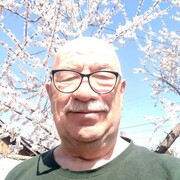 ���������� ����-�����, ������� ������, 66