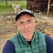  Swiebodzice,  Johan, 58