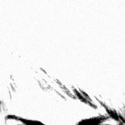  ,   , 49 ,   c 
