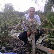  ,   , 43 ,   