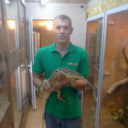 ���������� ������, ���� ������� ������, 32 ����, ������������ ��� ������, ����� � ���������, c�������� ���������