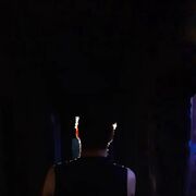 ���������� ������-��-����, ���� ������� ����, 28 ���, ������������ ��� ������, ����� � ���������, c�������� ���������