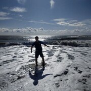 ���������� �������, ���� ����� Jasur, 24 ����, ������������ ��� ������, ����� � ���������