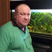  ,   , 58 ,  